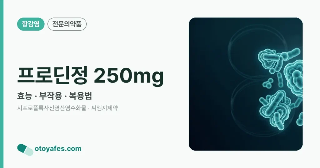 프로딘정250mg 효능과 부작용, 사용법
