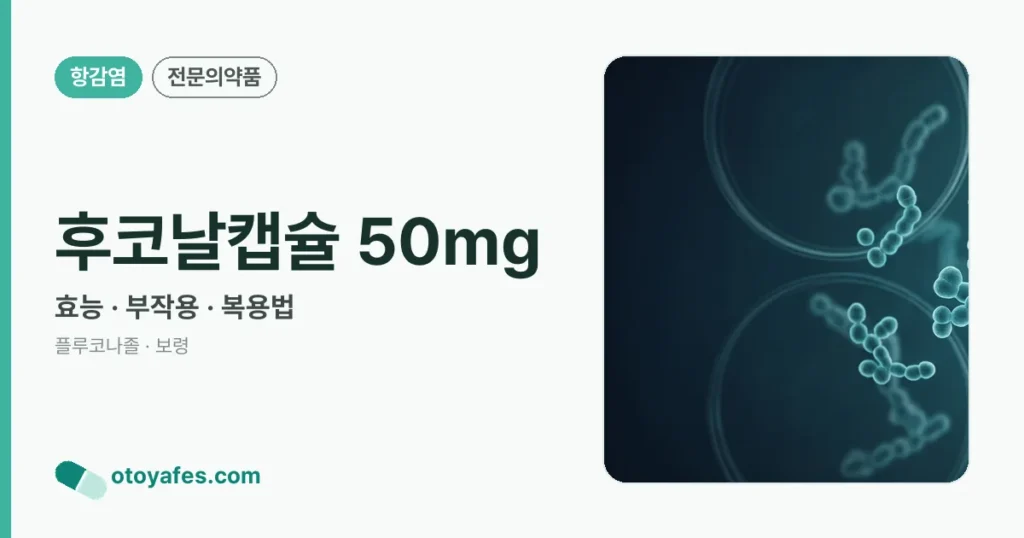 후코날캡슐 50mg 정리 썸네일