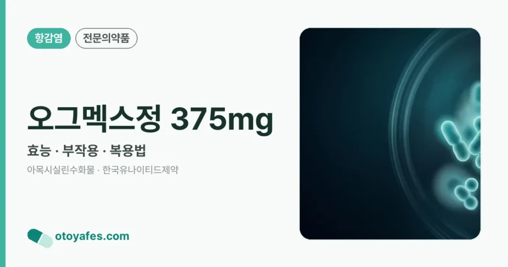 오그멕스정375밀리그램 효능과 부작용, 사용법