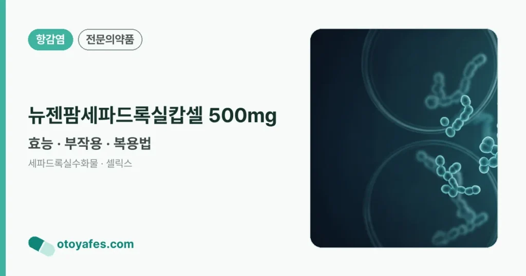 뉴젠팜세파드록실캅셀500밀리그람 효능과 부작용, 사용법