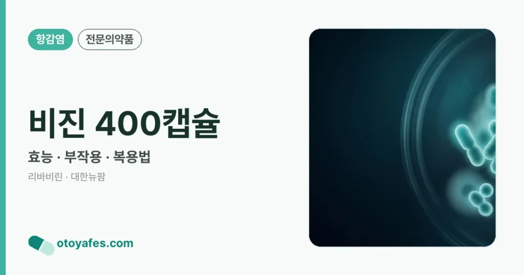 비진 400캡슐 정리 썸네일