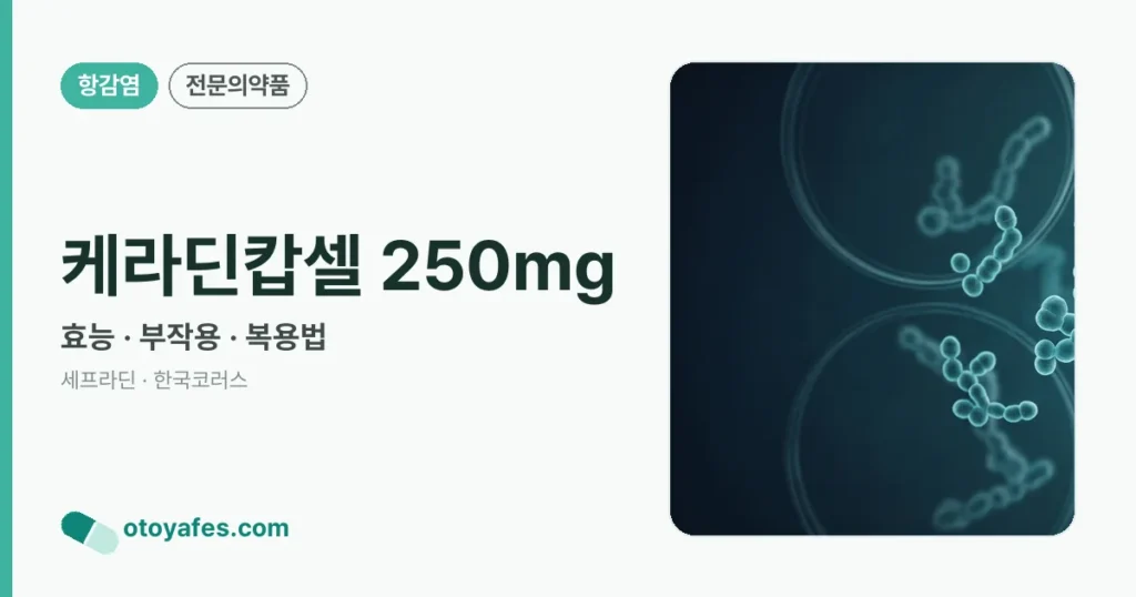 케라딘캅셀250밀리그람 효능과 부작용, 사용법