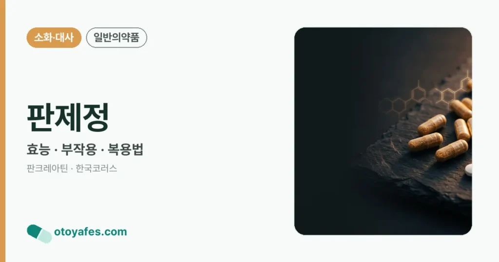 판제정 정리 썸네일