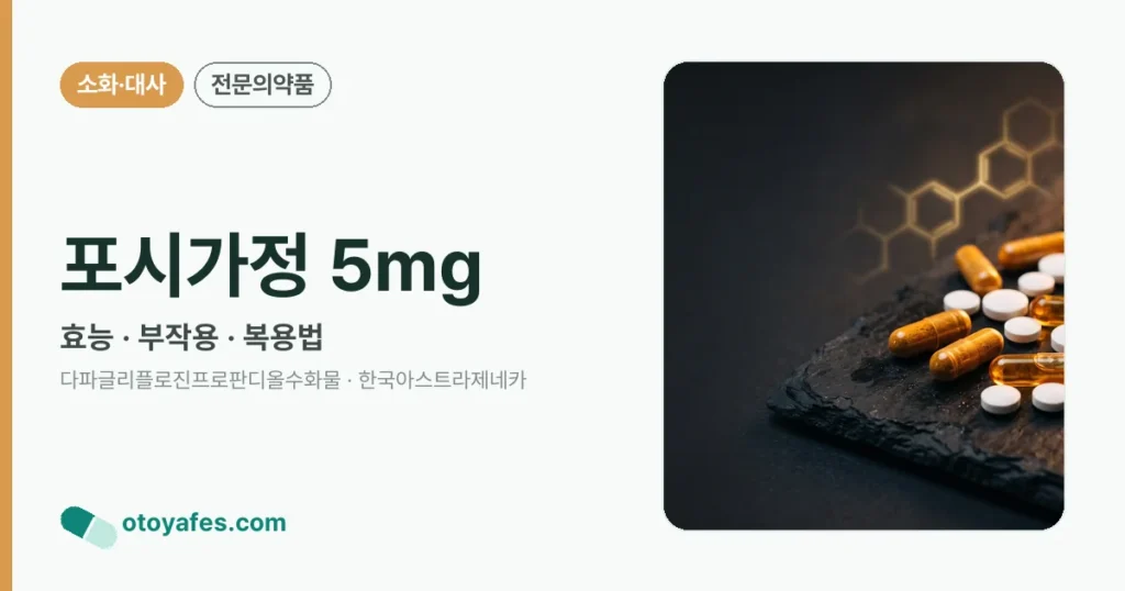 포시가정5밀리그램 효능과 부작용, 사용법