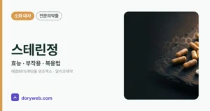 스테린정 효능과 부작용, 복용법